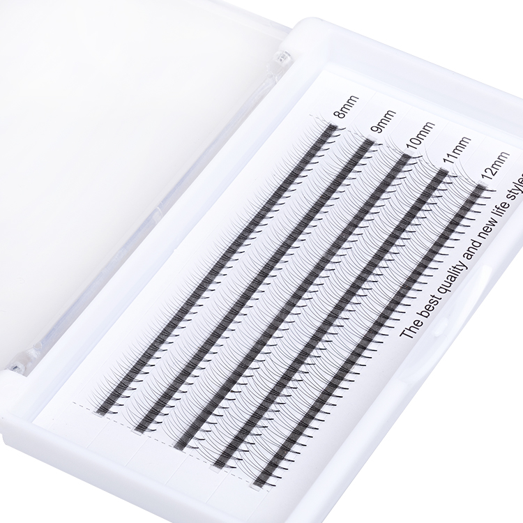 Inquiry for wholesale Pre made fans volume lash extensions 3d 4d 5d 6d  C curl D curl eyelash vendors XJ30